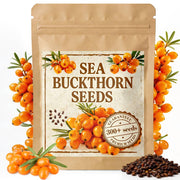 EquSym front packaging showing 300+ sea buckthorn seeds and clear labeling benefit: value