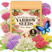 EquSym front packaging showing five color packets and product name, easy planning benefit