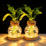 Everkeen front view showing two vases and wooden saucers, elegant display benefit