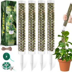 Fabulas full set front view showing four moss poles and accessories for tidy vertical growth