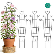 FAFTFTDY heart trellis front view shows decorative support and tidy pots