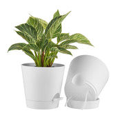 FaithLand front view of white 8-inch planter showing sleek shape and benefit of style