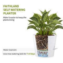 FaithLand clip-on watering lip detail showing refill point benefit: spill-free watering