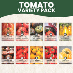 Family Sown tomato seeds displayed for size and texture clarity to aid planting decisions