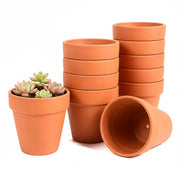FANOBL front view of 24 white terracotta pots showing pack uniformity and value