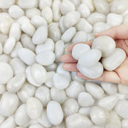 FANTIAN front bag showing 10 lbs weight and white pebbles for easy identification