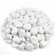 FANTIAN front of bag and stones showing quantity and texture benefit