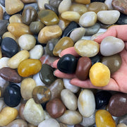 FANTIAN front bag view showing 5 lb pebbles and clear labeling benefit display
