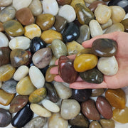 FANTIAN front packaging showing 10 lb bag and mixed pebbles benefit durable supply