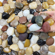 FANTIAN front packaging showing 2 lbs bag and mixed colored pebbles benefits durability