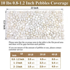FANTIAN pebbles used as top dressing on planter providing clean aesthetic
