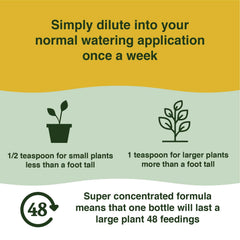 Farmer's Secret dilution step showing measured teaspoon and water