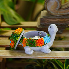 Fashionoda turtle placed in garden blending with plants and hiding keys