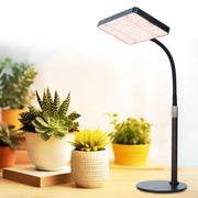 FECiDA front view of tabletop grow light showing compact design and elegant finish for indoor plants