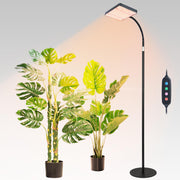 FECiDA floor lamp front view showcasing elegant stand and plant benefit