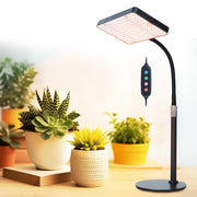 FECiDA front view of tabletop grow light showing compact design and brightness benefit