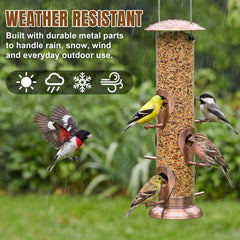 FEED GARDEN close-up of port and 1.4" perch sized for small songbirds