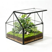 Ferrisland front view of clear house-shaped terrarium highlighting display clarity