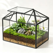 Ferrisland terrarium front view showing geometric design and clear glass visibility