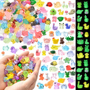 FEXIA front packaging showing assortment and piece count benefits