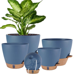 Fielda front view of five-pack pots showing neat modern design and versatility