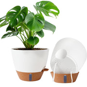 Fielda front view of two 10-inch planters showing modern design and convenience