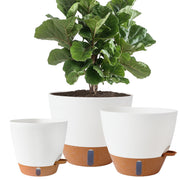 Fielda front view of 12-inch planter showcasing sleek durability and easy placement