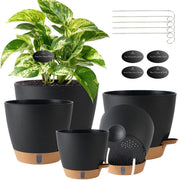 Fielda front view of five-size planter set showing cohesive design and versatility