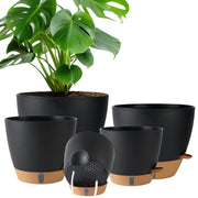 Fielda planter front view showing modern design and easy watering