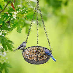 FLINTER feeder in use with bird perched demonstrating easy access for visitors