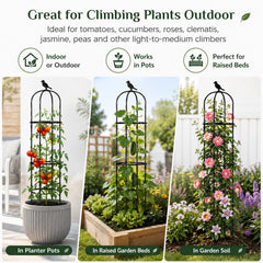 FOLLOOK obelisk supporting climbing roses and improving plant shape