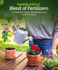 FoxFarm Big Bloom used on flowering container plants to boost blooms