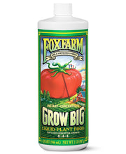 FoxFarm front label of Grow Big quart showing product name and benefits