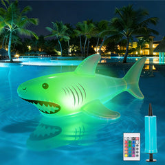 Foxgor shark front view showing realistic shape and pool ambiance