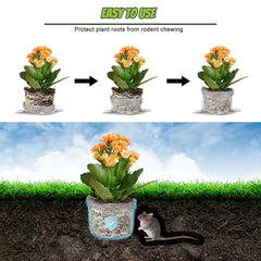 Froidesente root guard basket in soil protecting plant roots and tubers