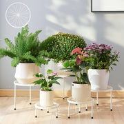 Furshus front view of five white metal stands showing sizes and organization