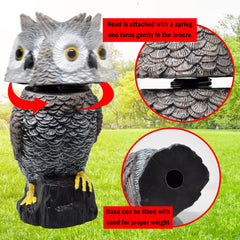Galashield owl reflective eyes closeup increasing nighttime visibility