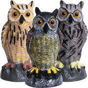 Galashield owls front group display showing three colorful decoys and added garden curb appeal