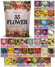 Gardeners Basics front packaging showing variety selection and seed count benefit