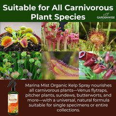 GARDENWISE close-up of liquid texture highlighting kelp extract clarity
