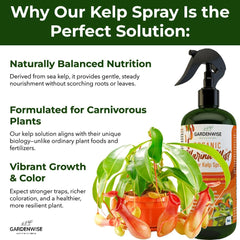 GARDENWISE spray nozzle misting foliage demonstrating easy foliar feeding