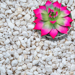 GARDENWISE perlite front bag showing product and volume benefits