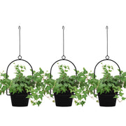 Gardzen front view of three black hanging planters displaying tidy benefit