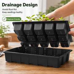Gardzen trays in use on windowsill promoting healthy indoor germination