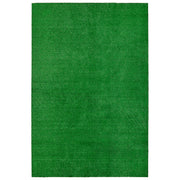 Garland Rug front view showing full 6x9 green turf and curb appeal