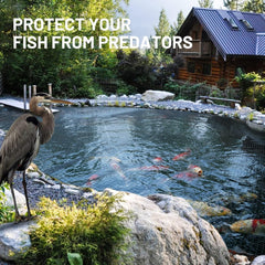 GasXpert net installed over koi pond demonstrating predator protection
