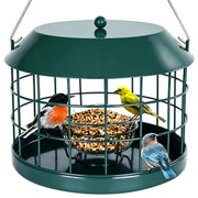 Gbekery feeder front view showing green cage and glass bowl, promotes safe small-bird feeding