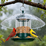 Gbekery front view of green feeder showing durable metal tray and dome for weather protection