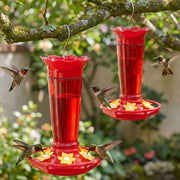 Gbekery front view red feeder showing vibrant color and six ports, attracts hummingbirds