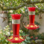 Gbekery feeder front view showing clear glass and six feeding ports for visual appeal